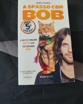A spasso con bob, attimo decisivo, sogni di carta