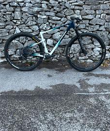 Lee cougan Rampage Innova