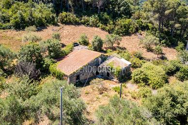 Il Fascino di una Casa nel Bosco