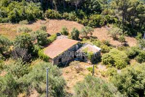 Il Fascino di una Casa nel Bosco