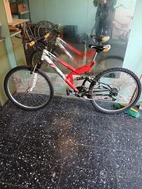 mountain bike