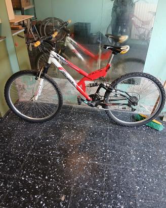 mountain bike