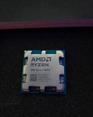 AMD Ryzen 5 9600x