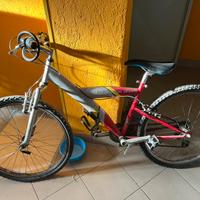 mountain bike Thunder Wind