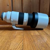 Sony 200-600 Full Frame + Custodia da viaggio