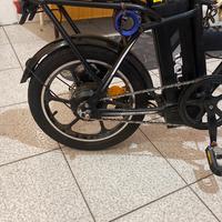 Bicecheltta eletrica