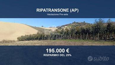 Immobile in asta di 31390 m² a Ripatransone