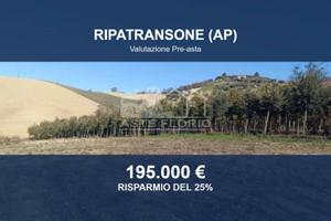 Immobile in asta di 31390 m² a Ripatransone