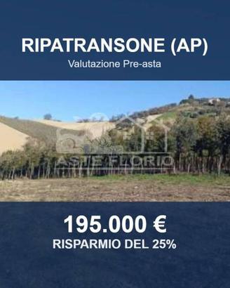 Immobile in asta di 31390 m² a Ripatransone