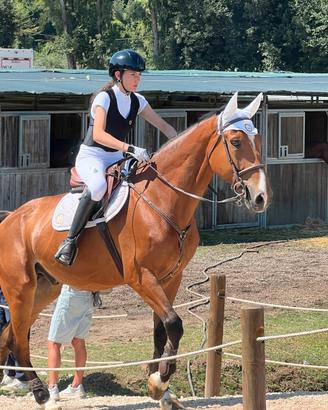 Cavallo, monta inglese