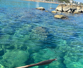 Casa vacanza Brezza Marina Termoli centro