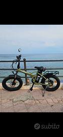 bici elettrica 