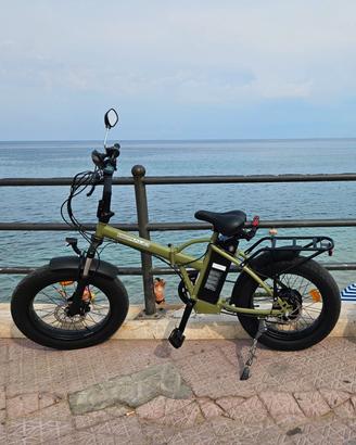 bici elettrica 