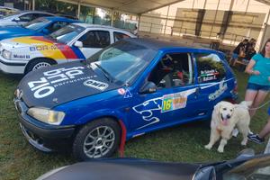 Prugeot 106 1600 8v rally  terra