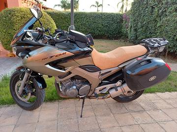 yamaha tdm 900