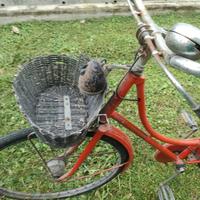 Bici modello olandese 