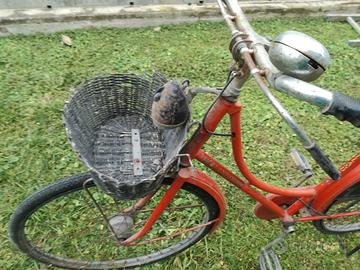 Bici modello olandese 