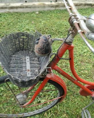 Bici modello olandese 