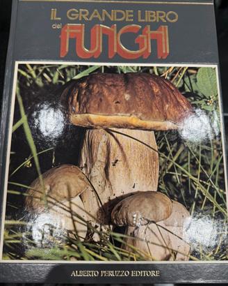 Per i ricercatori di funghi