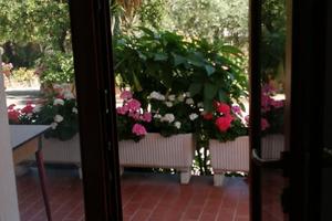 Ferie a Francavilla al mare