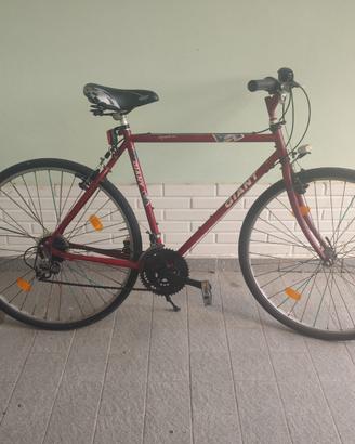 City Bike GIANT Squadron 28”