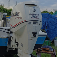Evinrude e-tec 200 h.o