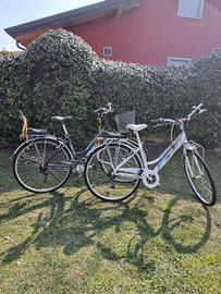 Coppia Bici con seggiolini