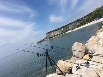 Canne da pesca e supporto + segnalatore di movime.