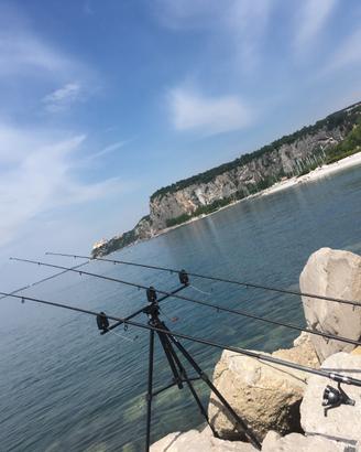 Canne da pesca e supporto + segnalatore di movime.
