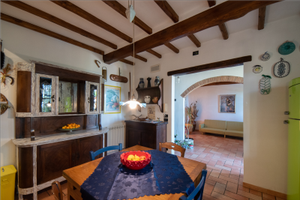 CARNEVALE Viareggio in collina splendida vista