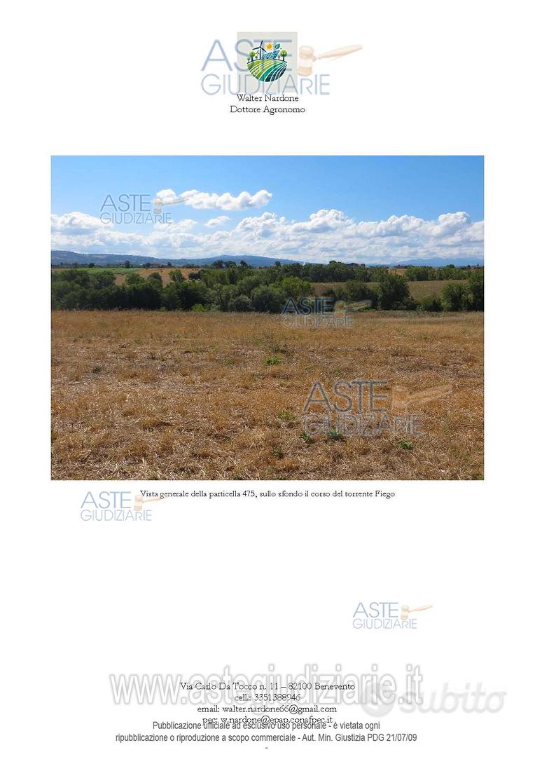 Terreno Agricolo Calvi [A4346608] - Vista 5
