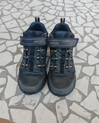scarpa bimbo Geox 32