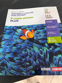 Corpo umano PLUS – Immagini e concetti di biologia