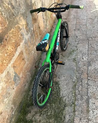 Bmx instinct