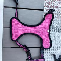 pettorina per cani di taglia piccola 