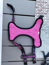 pettorina per cani di taglia piccola 