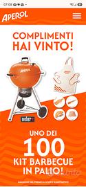 Barbeque Weber mastertouch 57 cm nuovo