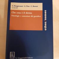 Libro universitario "Che cosa è il diritto"