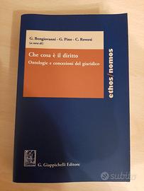 Libro universitario "Che cosa è il diritto"