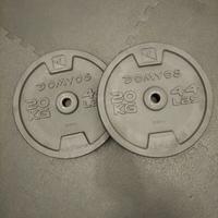 Dischi palestra 20kg