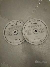 Dischi palestra 20kg