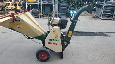 Biotrituratore Negr R225