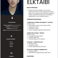 Lavapiatti, magazziniere, cassiere,