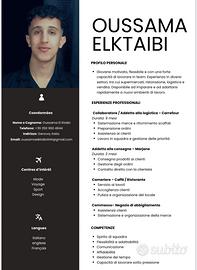 Lavapiatti, magazziniere, cassiere,