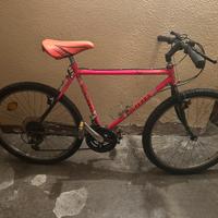 Bici rampichino mountain bike