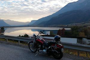 Harley Davidson Softail Springer '92