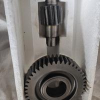 Ingranaggi Rapporti secondari piaggio 180 4t