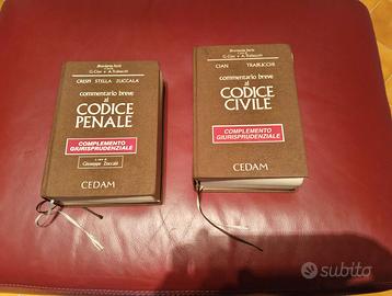 Codice penale + Codice Civile 1996