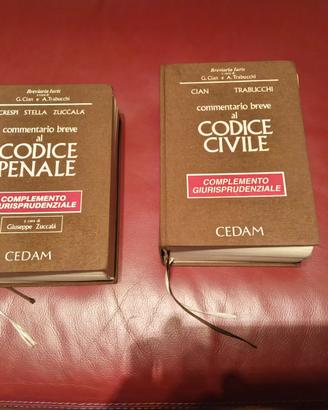 Codice penale + Codice Civile 1996