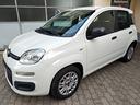 fiat-panda-1-2-69cv-easy